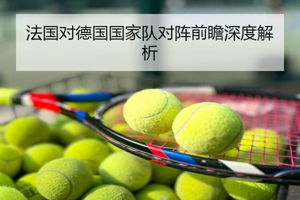 法国对德国国家队对阵前瞻深度解析